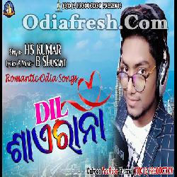 DIL SAERANA - Odia New Album Song By HS Kumar